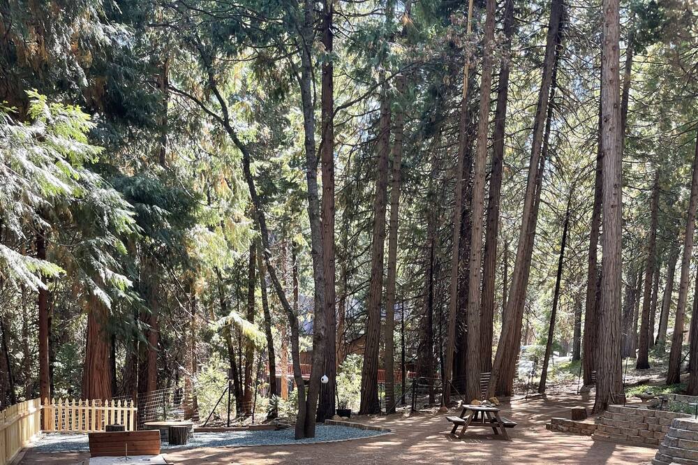 Photo of Outdoor in Pollock Pines