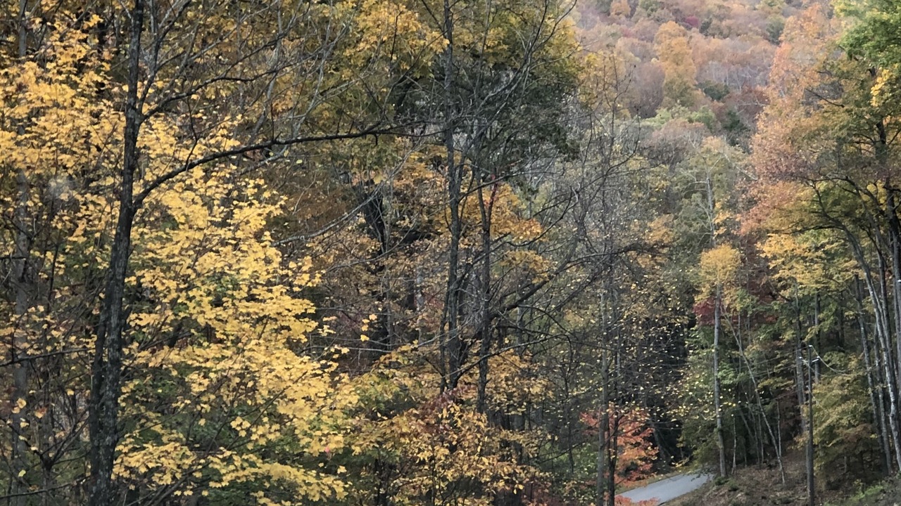 Photo of Others in Laurel Ridge
