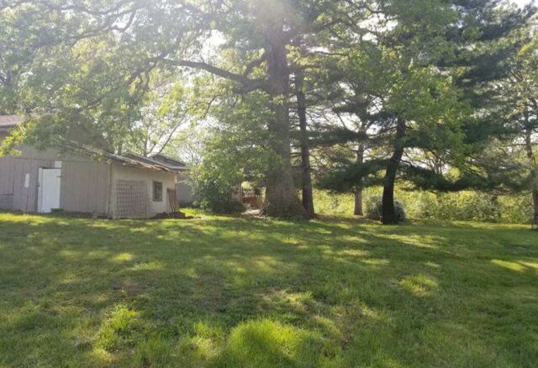 Photo of Outdoor in Fowler