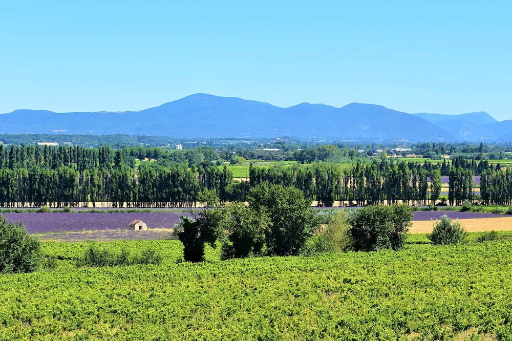 Photo of Others in Baix