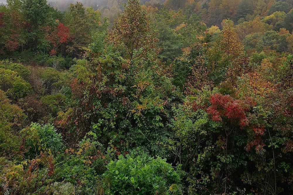 Photo of Outdoor in Andrews