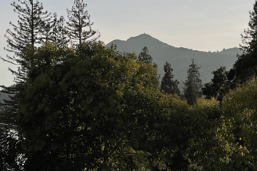 Photo of Outdoor in Greenbrae