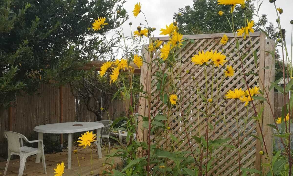 Photo of Outdoor in Saint-Brice-en-Cogles