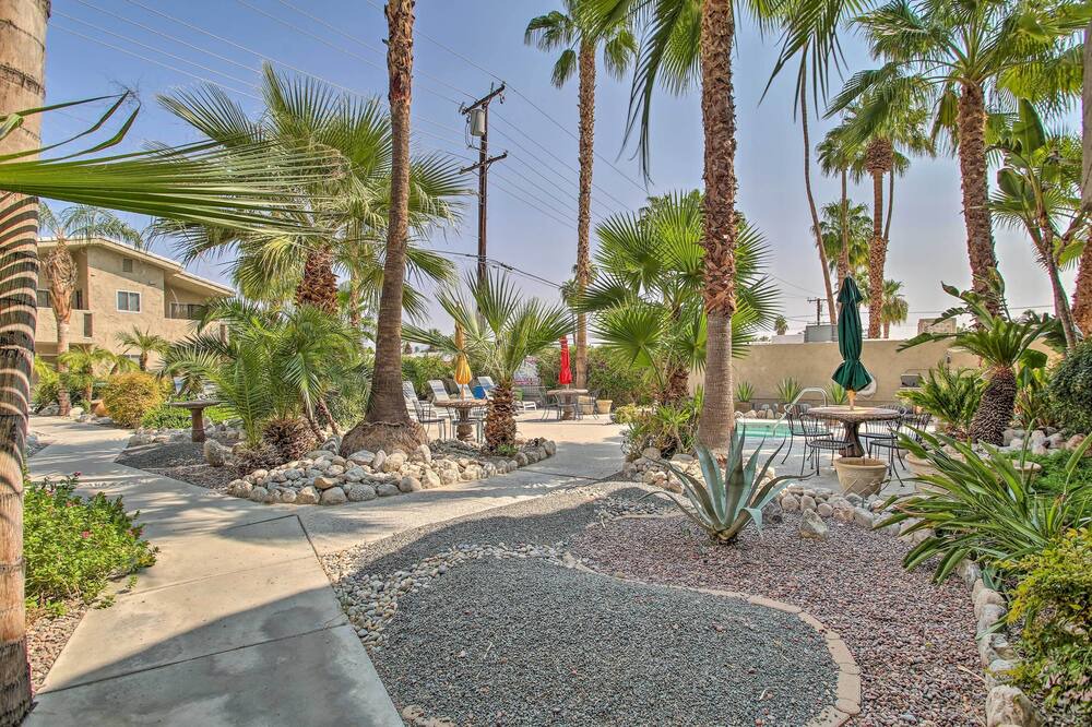 Photo of Outdoor in Tahquitz River Estates