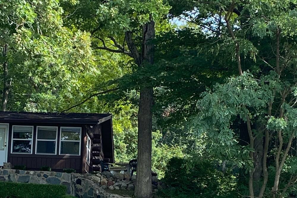 Photo of Others in Syracuse