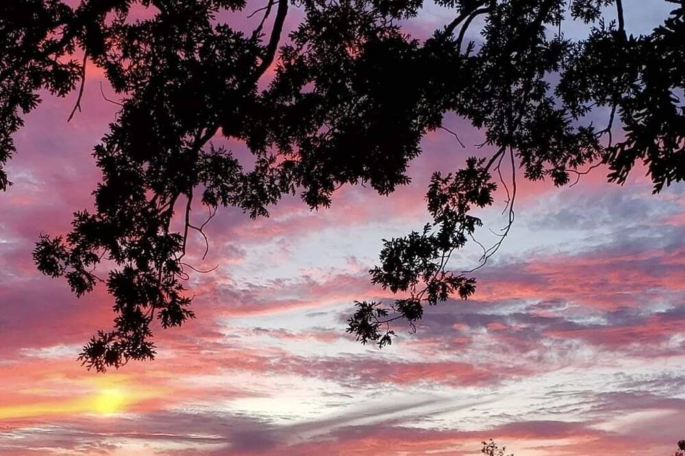 Photo of Others in Syracuse