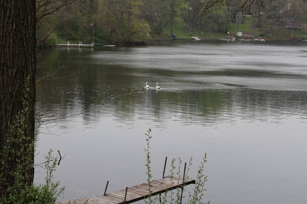 Photo of Others in Syracuse