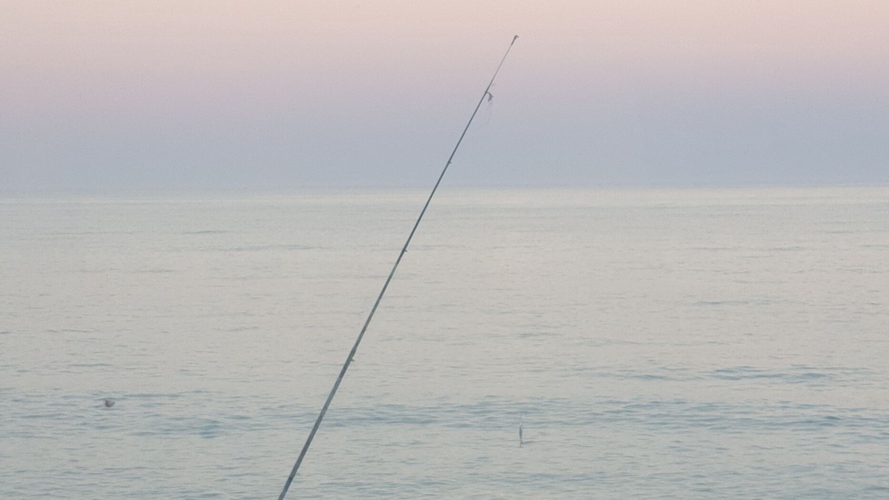 Photo of Others in Haumoana