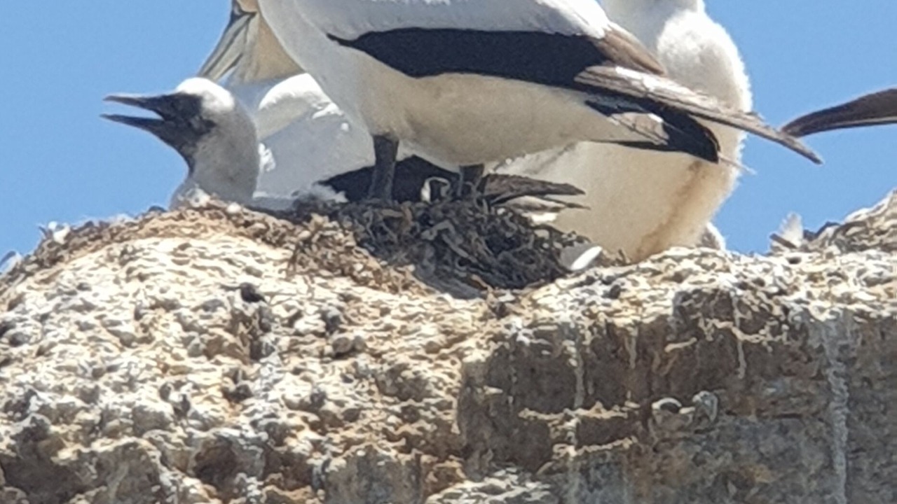 Photo of Outdoor in Haumoana