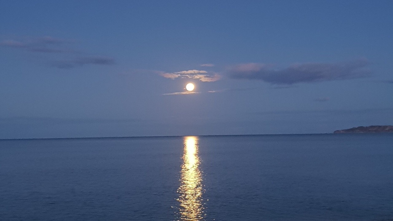 Photo of Outdoor in Haumoana