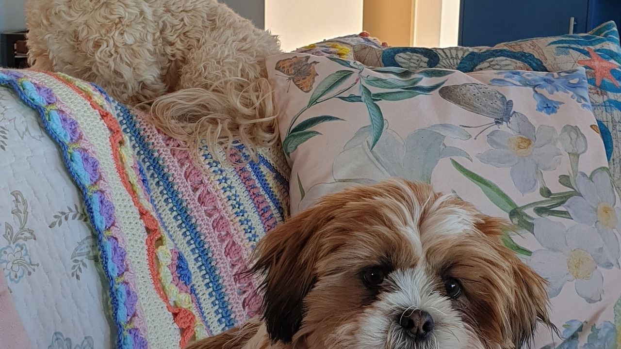 Photo of Others in Haumoana