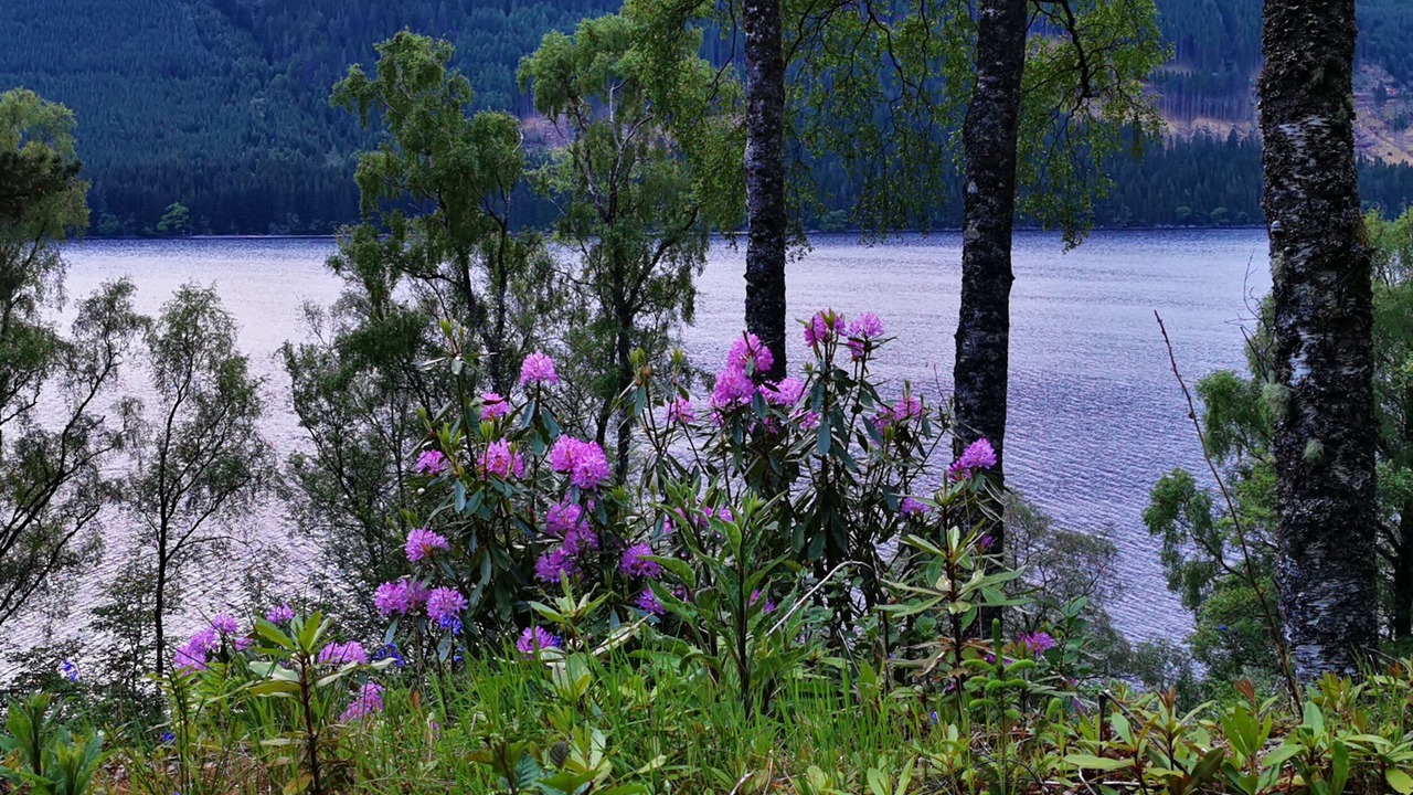 Photo of Others in Spean Bridge