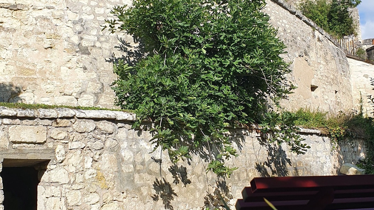Photo of Outdoor in Chinon