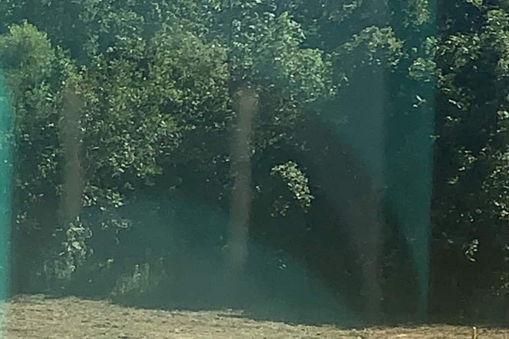 Photo of Others in Horn Lake