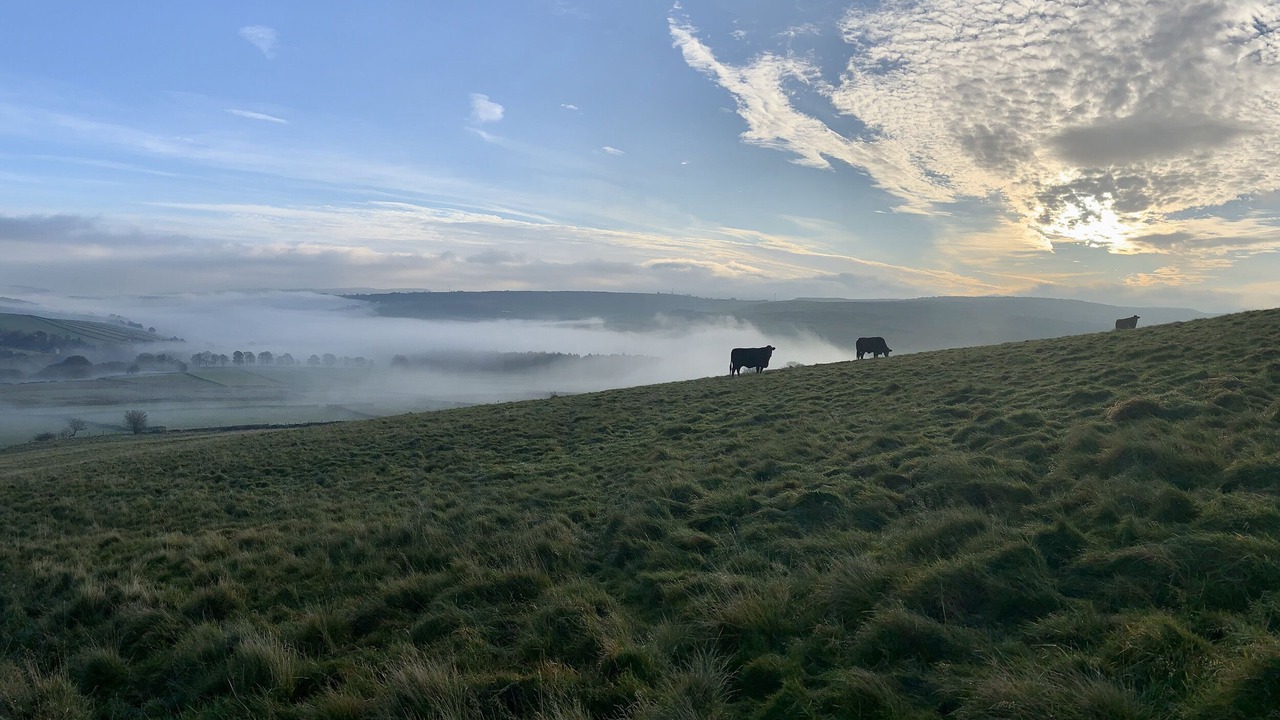 Photo of Others in Holmfirth