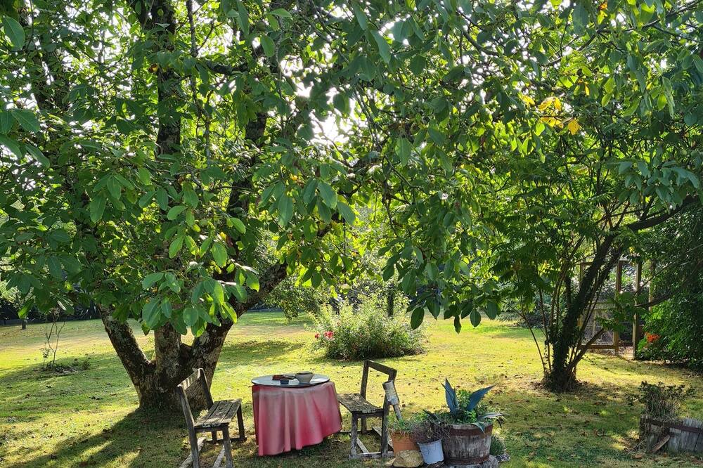 Photo of Outdoor in Theix-Noyalo