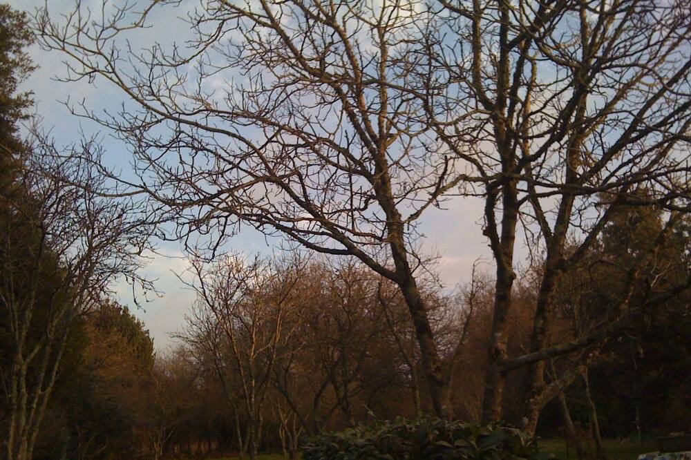 Photo of Outdoor in Theix-Noyalo