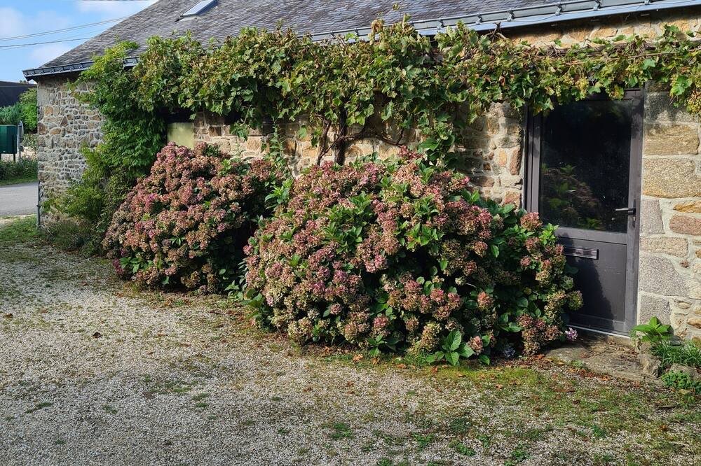 Photo of Outdoor in Theix-Noyalo