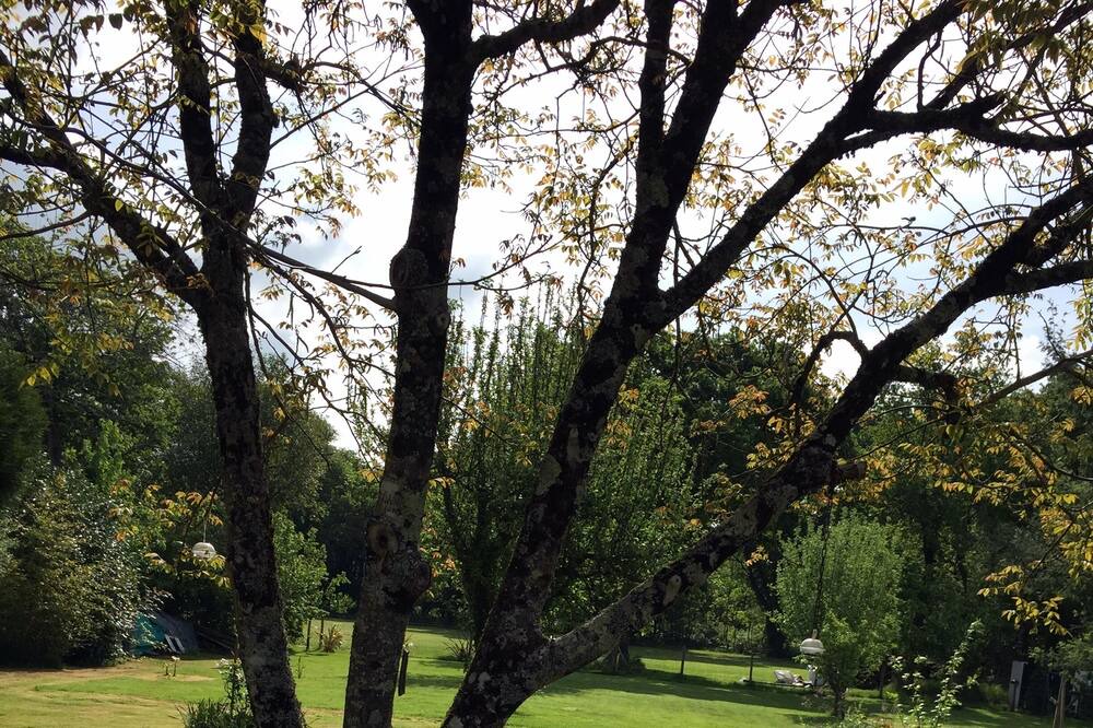 Photo of Outdoor in Theix-Noyalo