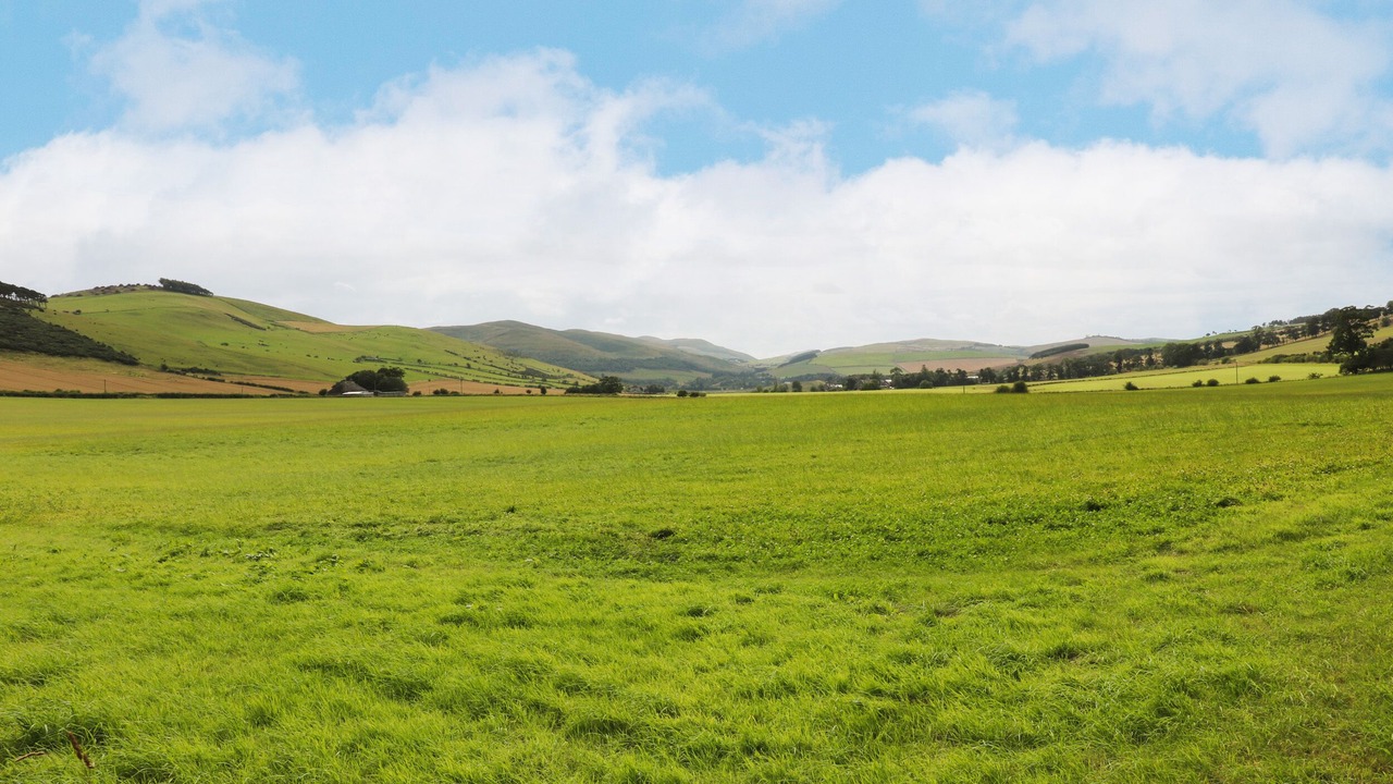 Photo of Others in Cornhill on Tweed