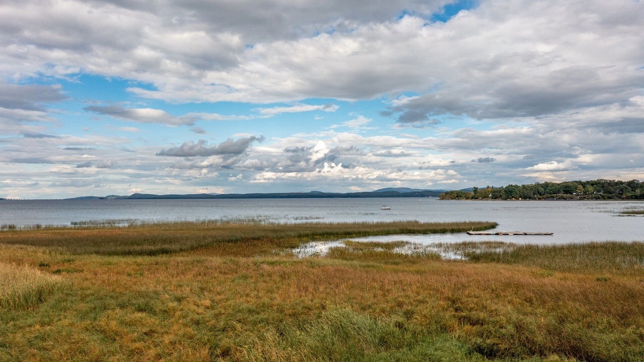 Photo of Others in Malletts Bay