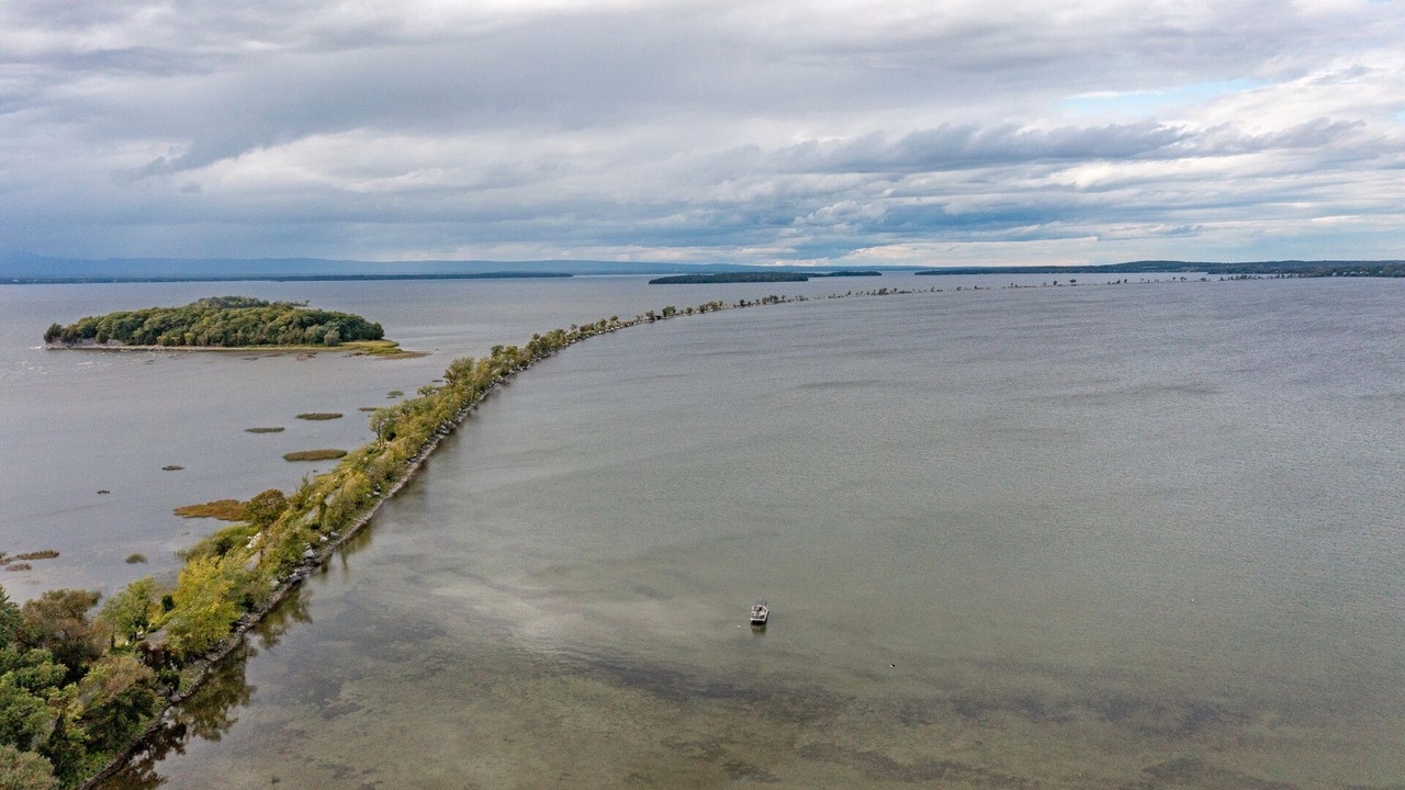 Photo of Others in Malletts Bay