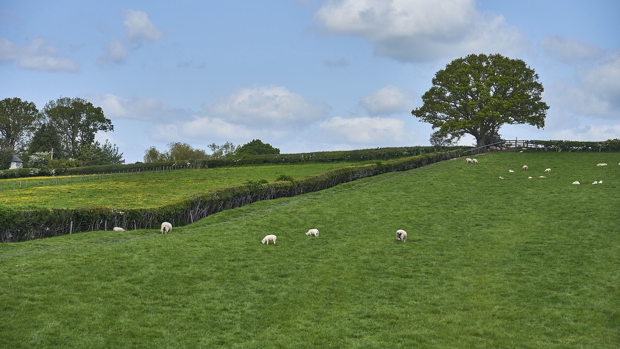 Photo of Others in Kingswood