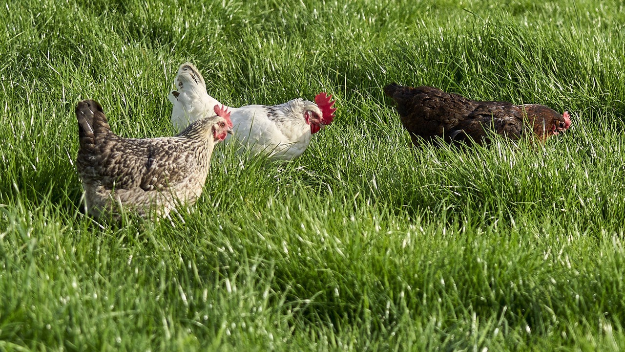 Photo of Others in Kingswood