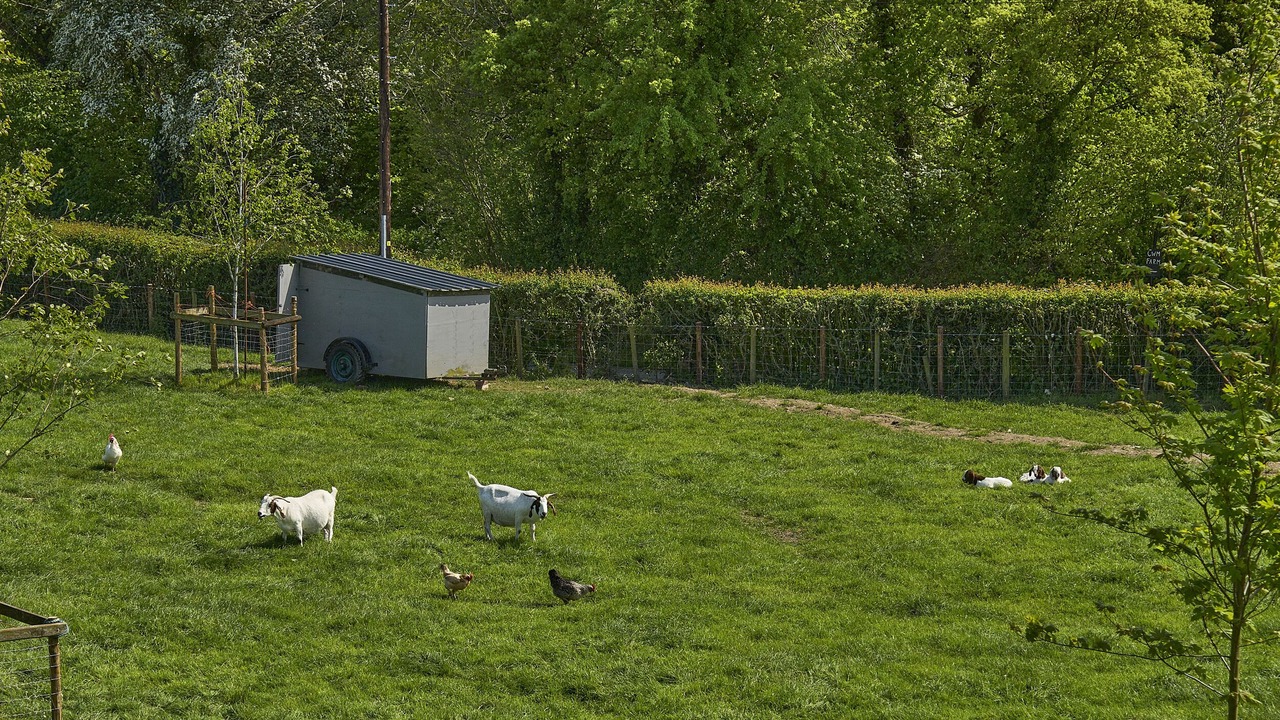 Photo of Others in Kingswood