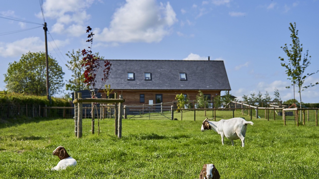 Photo of Others in Kingswood