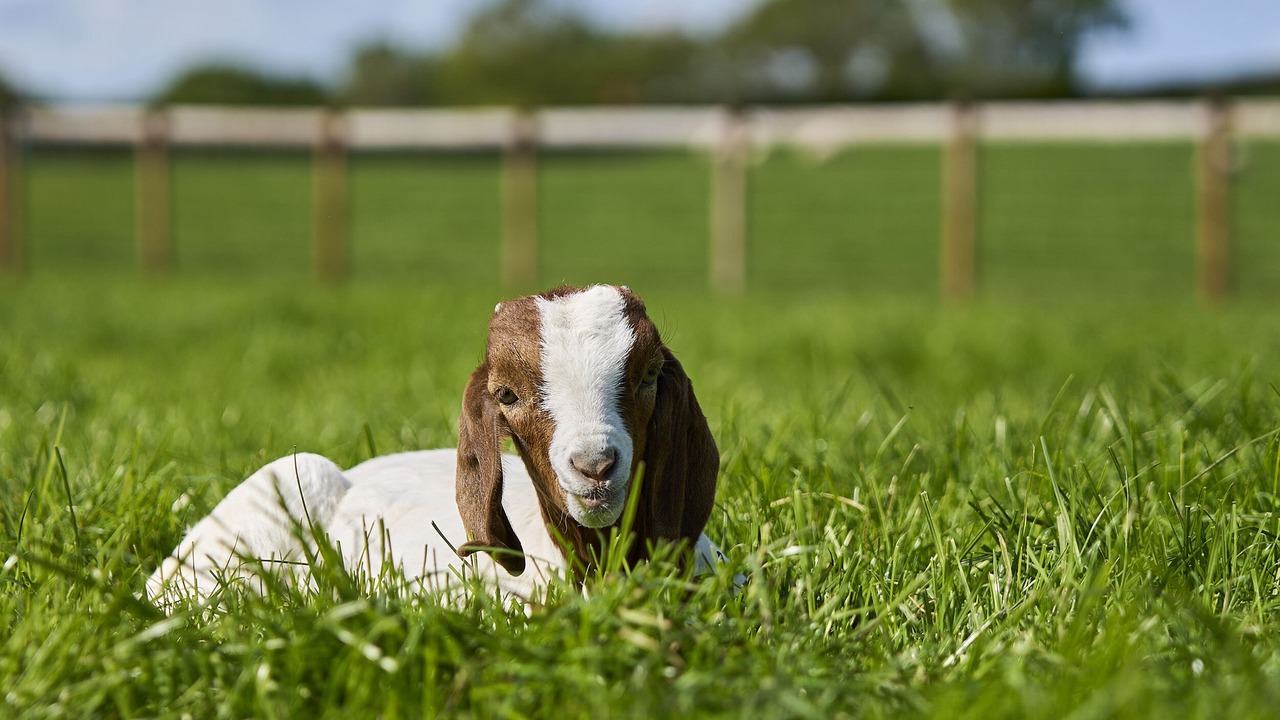 Photo of Others in Kingswood