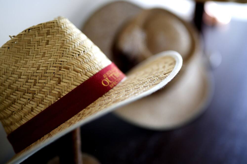 Photo of Others in Fingal