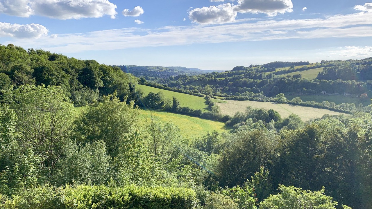 Photo of Others in Slad