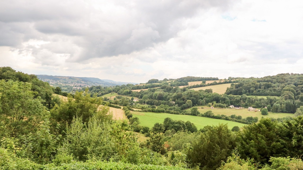 Photo of Others in Slad