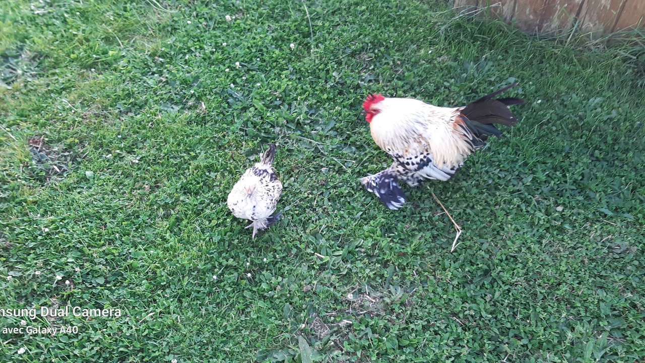 Photo of Others in Blandainville