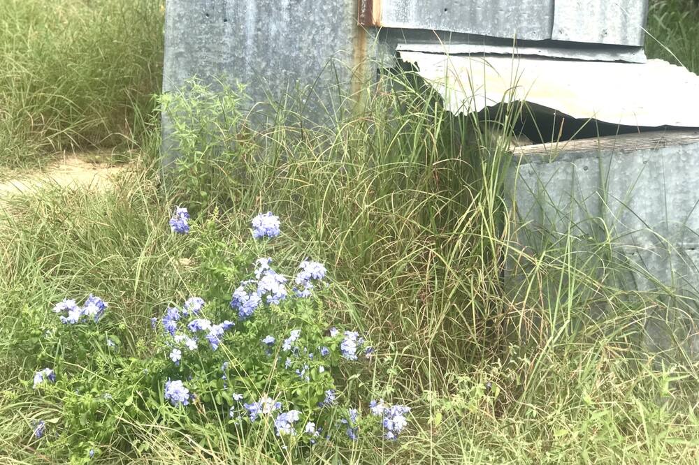 Photo of Outdoor in Glen Rose