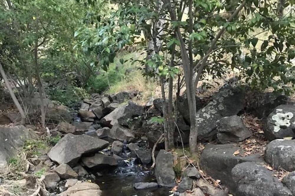 Photo of Outdoor in Auburn