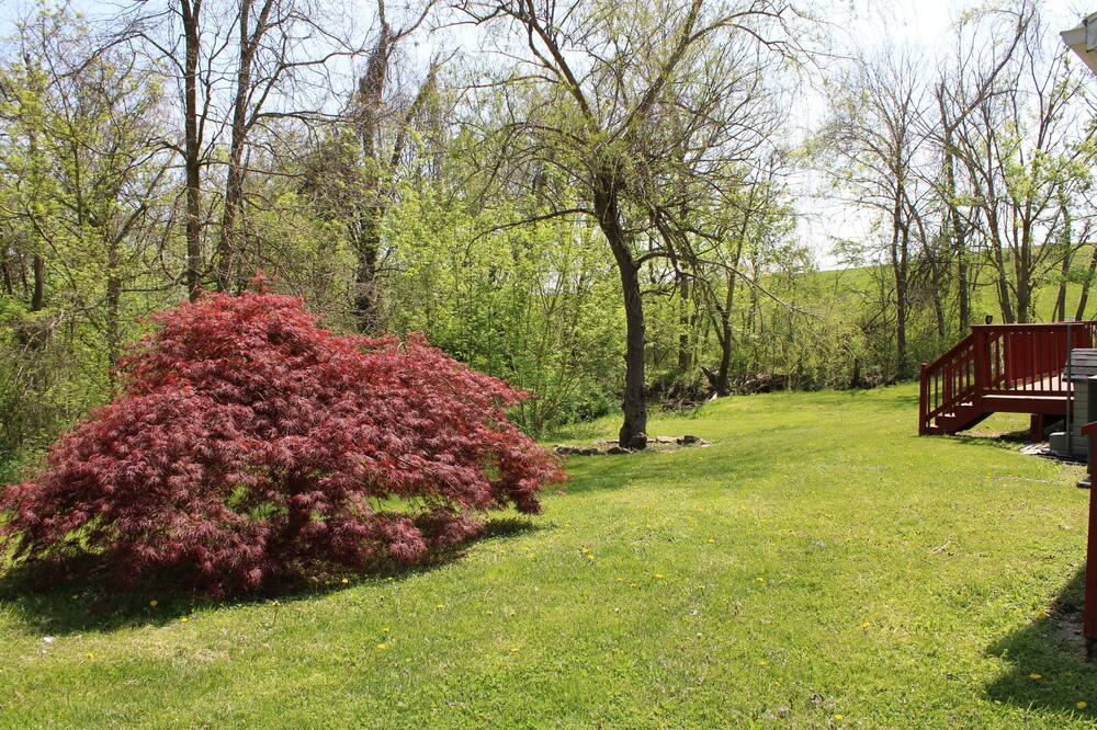 Photo of Outdoor in Brownsville