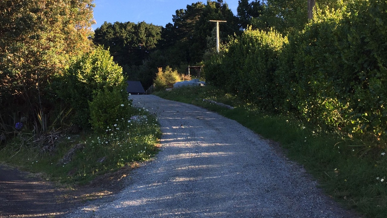 Photo of Outdoor in Raglan