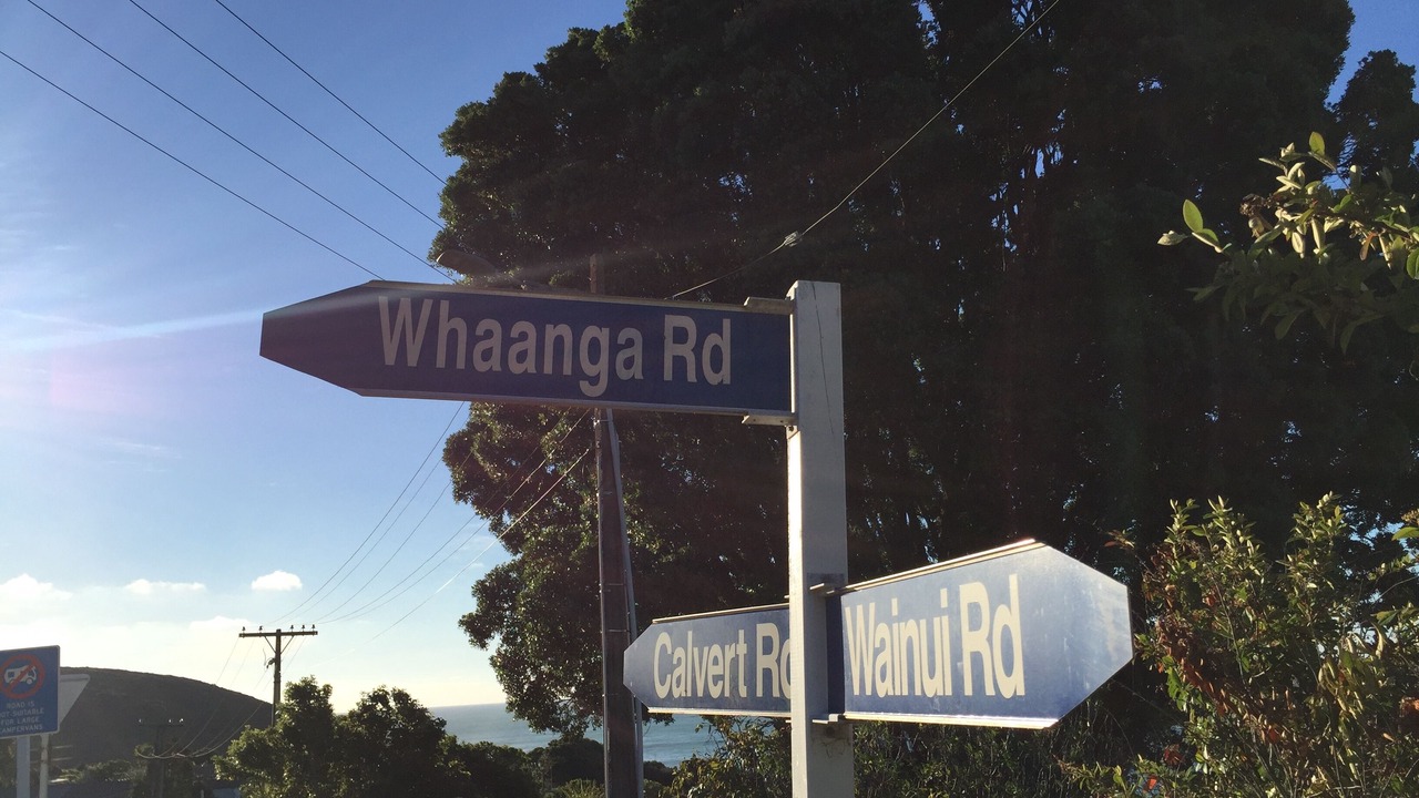 Photo of Outdoor in Raglan