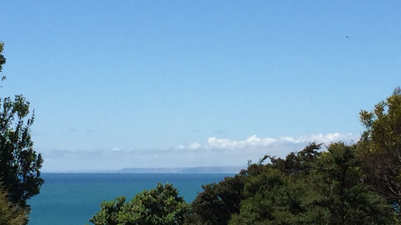 Photo of Others in Raglan