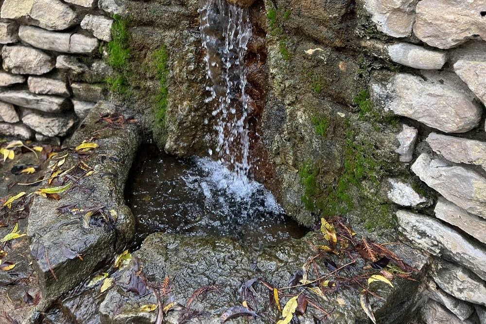 Photo of Outdoor in Brandon