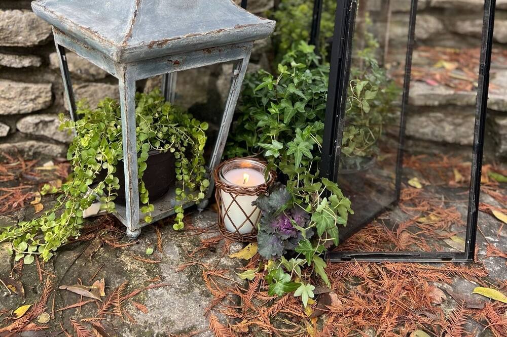 Photo of Outdoor in Brandon