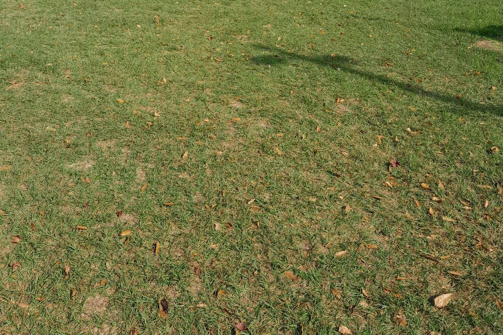Photo of Others in Hempstead
