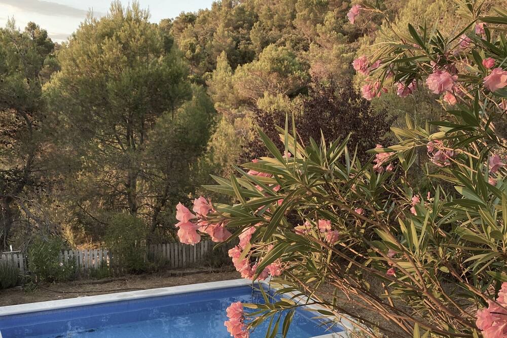 Photo of Outdoor in Albalate de Zorita