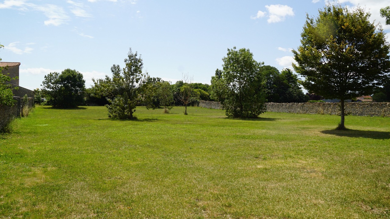 Photo of Others in Chaille-les-Marais