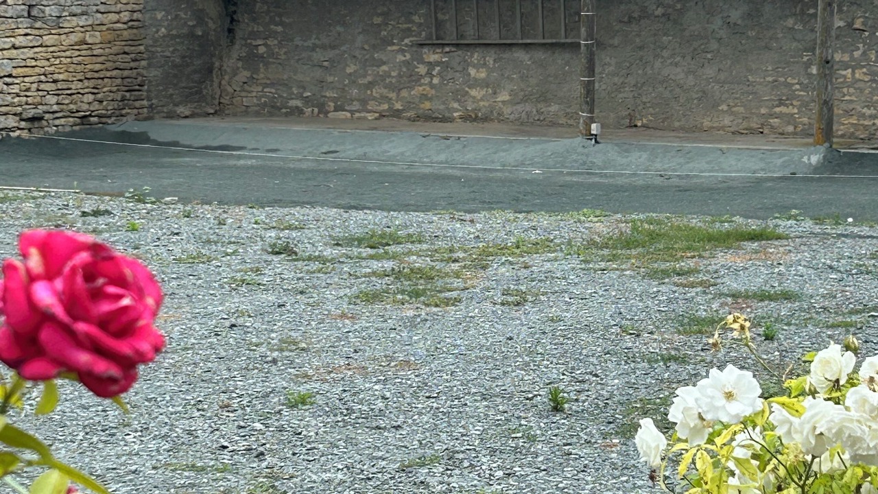 Photo of Outdoor in Chaille-les-Marais