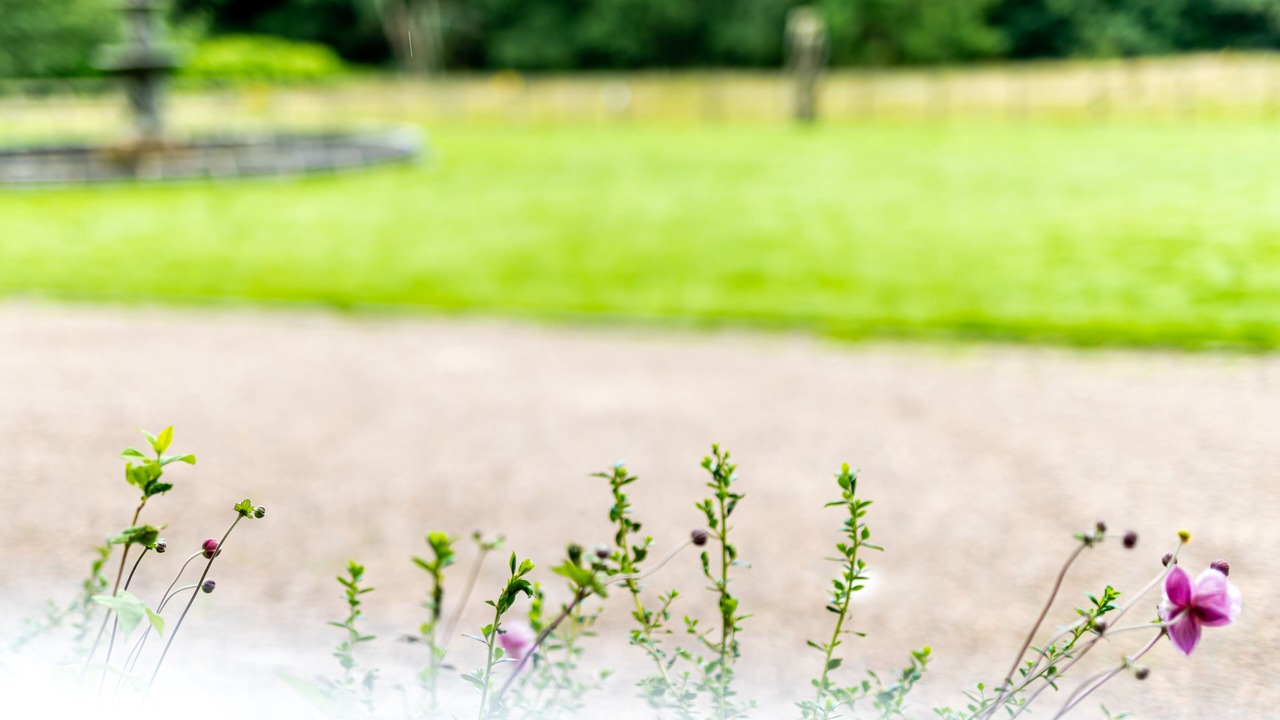 Photo of Outdoor in East Lothian