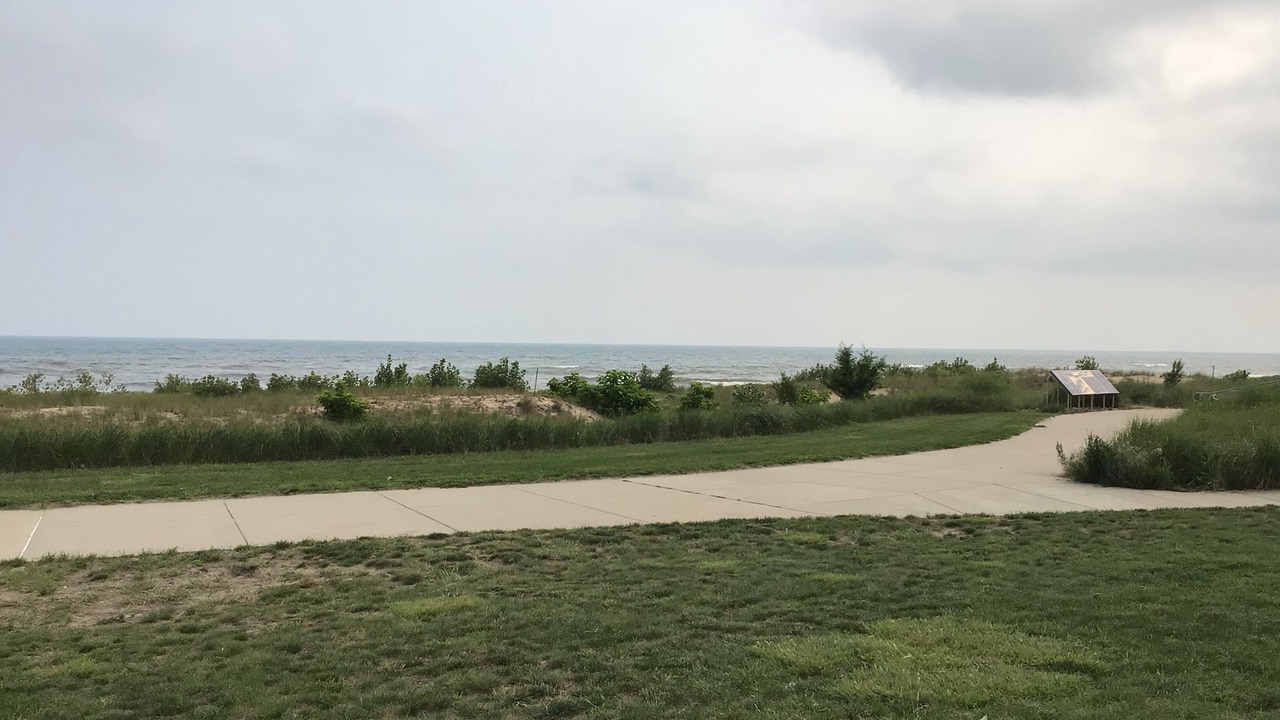 Photo of Others in Miller Beach