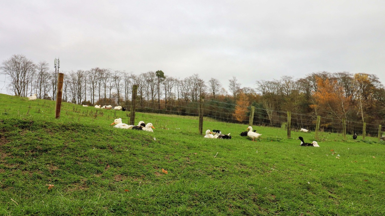 Photo of Others in Rothbury